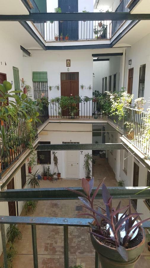 Apartment Luxury In Triana Close To The River *